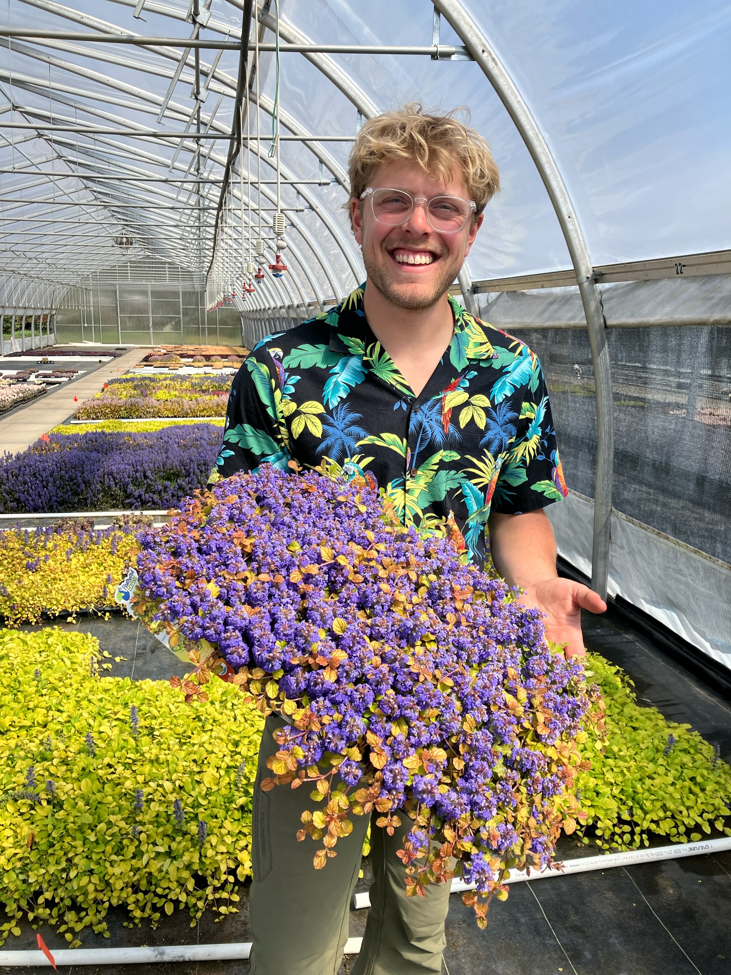 When you wear a parrot shirt, you NEED to have your picture taken with Feathered Friends ajuga ‘Parrot Paradise’.
Some of you know Jake, a member of our research team, working behind the scenes to bring you brand new varieties. It’s almost time for the 2027 catalog - and we have some exciting new things to share!