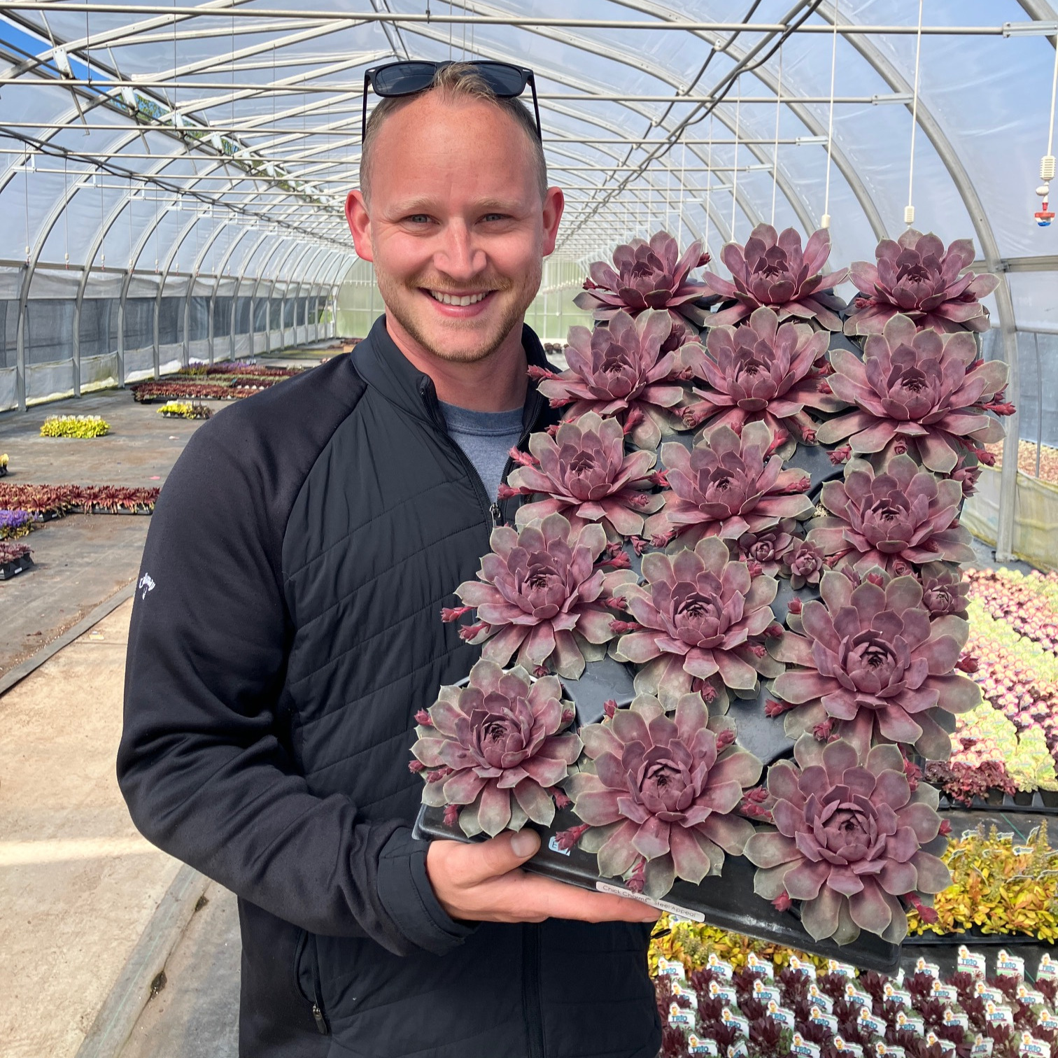 We are looking for an assistant grower!

Come join our head grower, Vasa, and the rest of our team!

Looking for someone who enjoys a fast pace, learning new things, and being part of a team. We're research and production so every day is different! 

Apply on Indeed, and tell your friends!

https://www.indeed.com/viewjob?jk=adb8d8c81e256f62&from=shareddesktop_copy