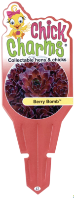 Chick Charms® Berry Bomb™