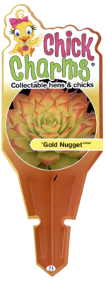 Chick Charms® Gold Nugget pp #28,284