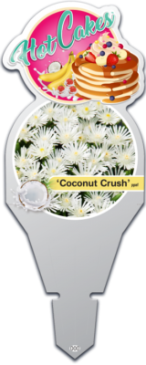 Coconut Crush pp#31,370