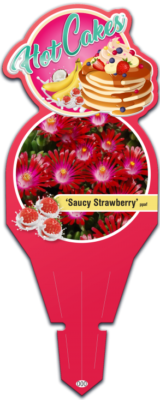 HotCakes® Delospermas Saucy Strawberry pp#31,219