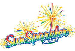 SunSparkler® Sedums Logo