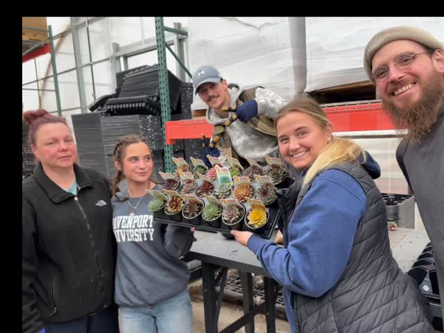 Grading Chick Charms finished trays! The count down to March has begun!!