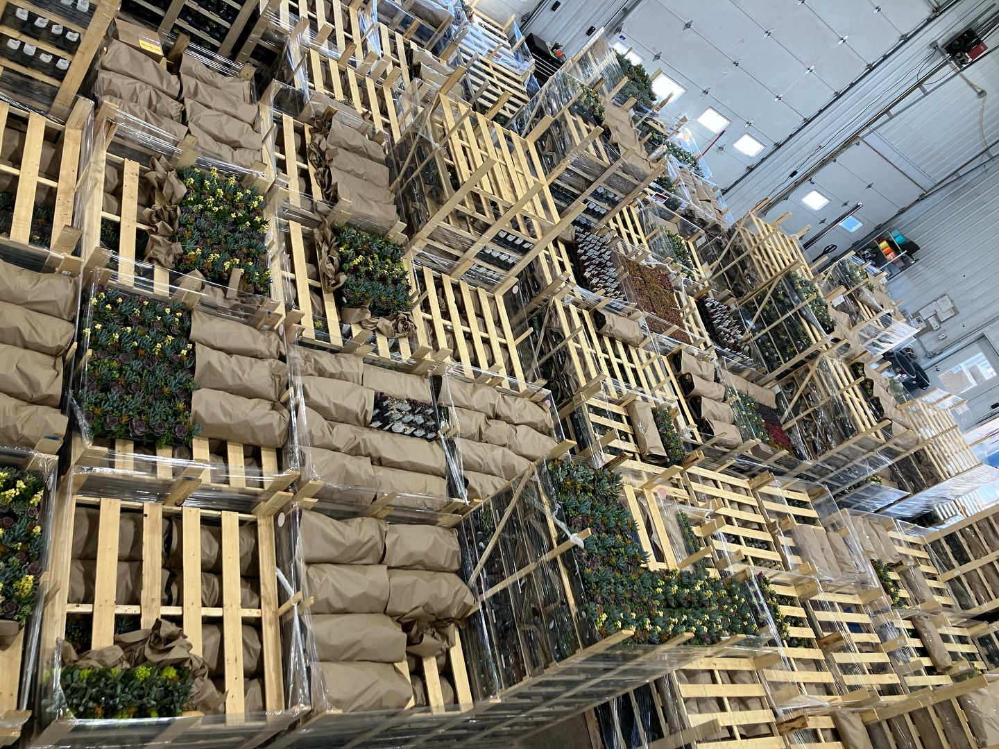 Happy Monday! Working on sending all your orders out!