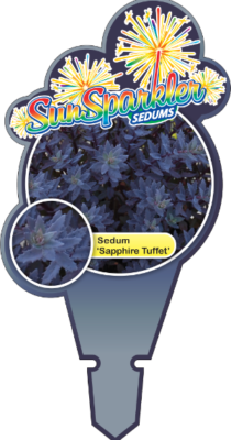 SunSparkler-Sapphire-Tuffet-Tag