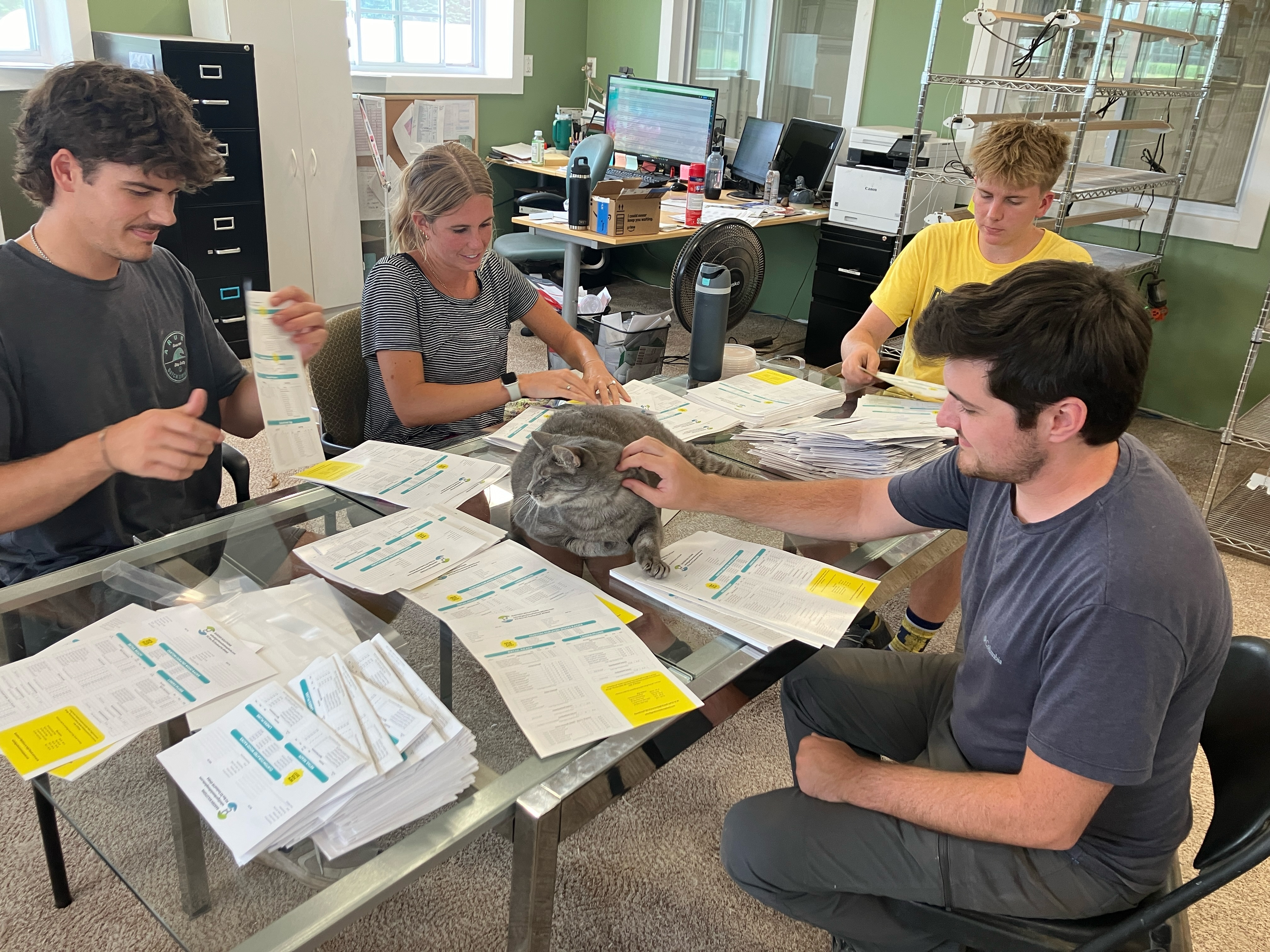 Working on getting those catalogs in the mail! The whole team helps send those out, even the cats 😹