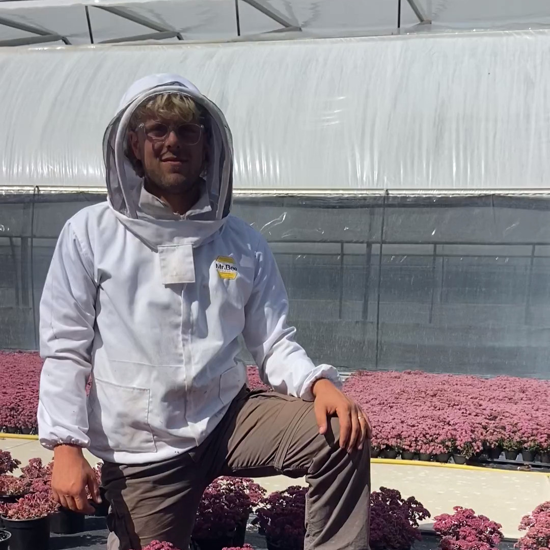 SunSparkler® Plum Dazzled pp#30,348 and some happy bees!