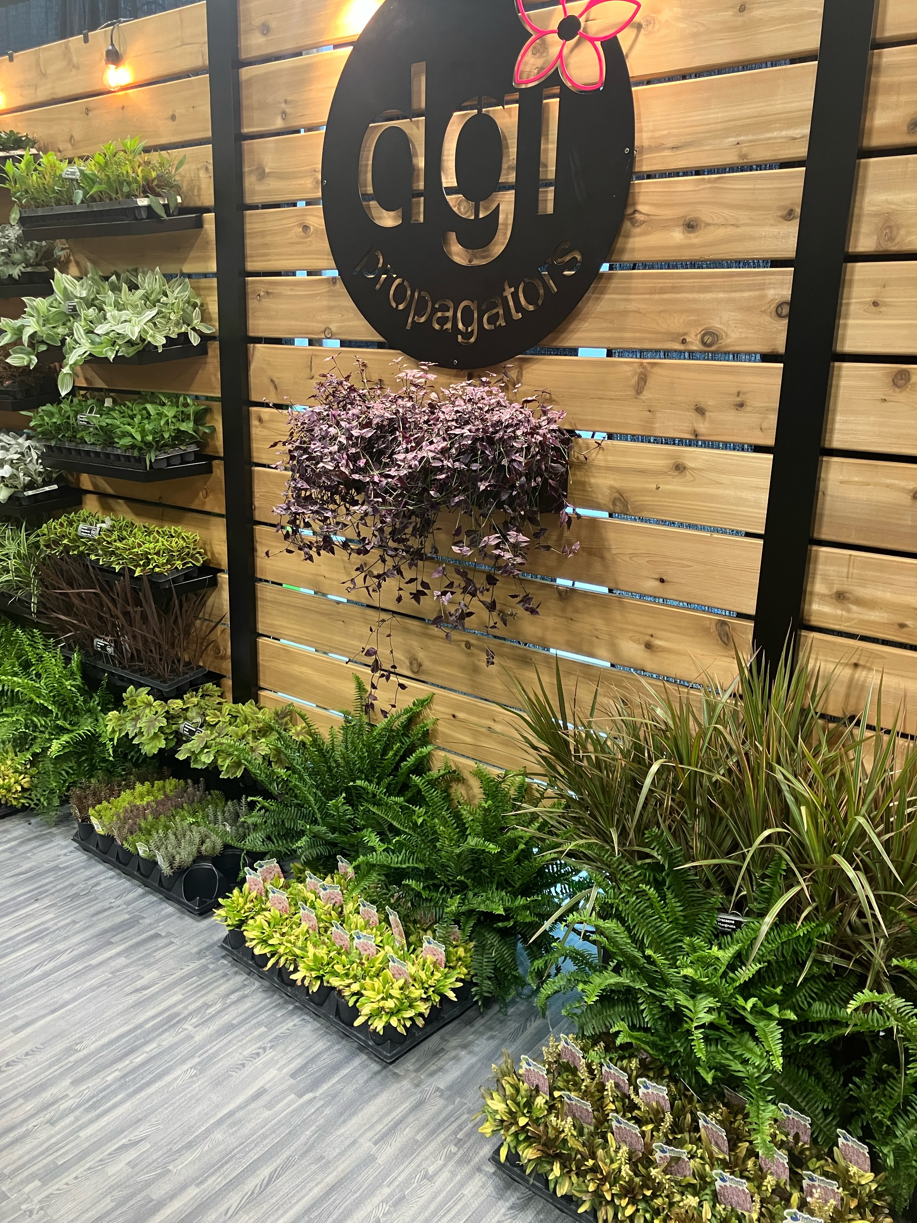 Check out our genetics @dgi_propagators Booth 1514