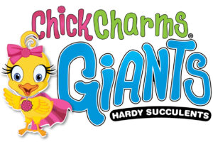 GS-Chick-Charms-GIANT-LOGO (1)