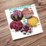 Blank,Of,Brochure,Is,On,A,Wooden,Desk.,Template,For