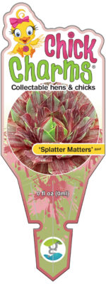 Chick-Charms®-Splatter-Matters™-Tag