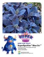 Blue Ox ppaf